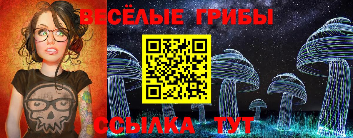 Псилоцибиновые грибы Psilocybe Кунгур