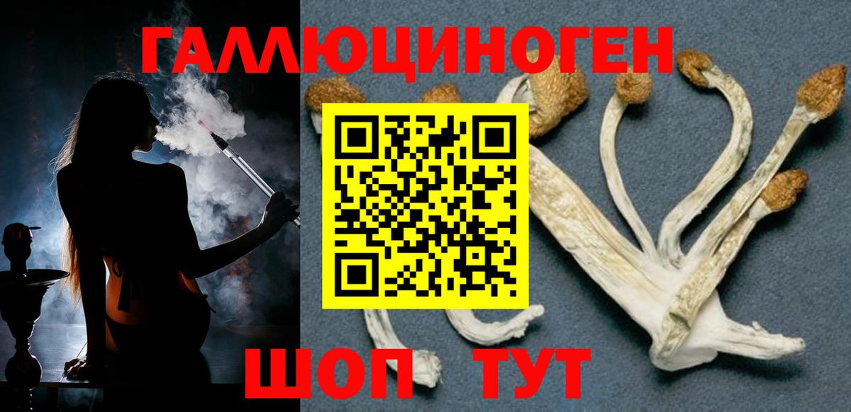Галлюциногенные грибы MAGIC MUSHROOMS  Вход с VPN  Кунгур 